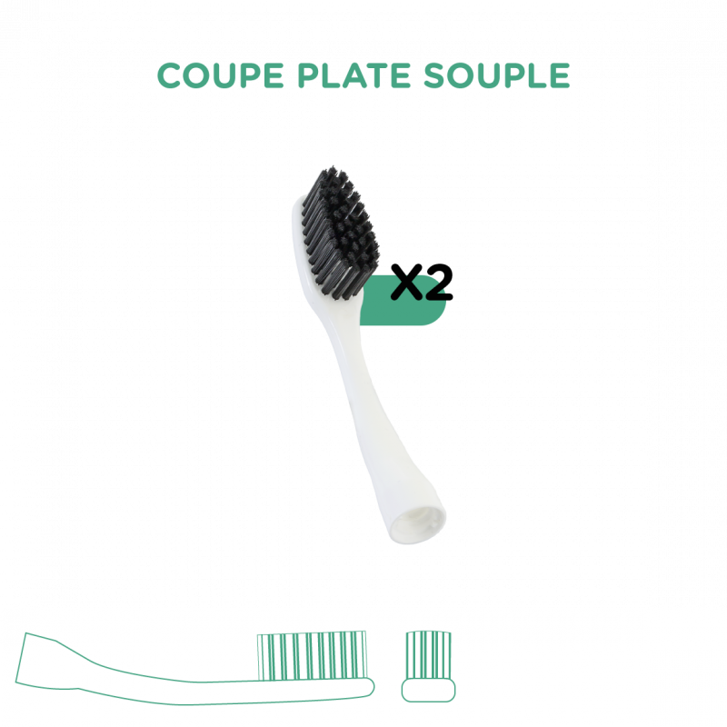 Recharges pour brosse à dents électrique, par EFISEPTYL