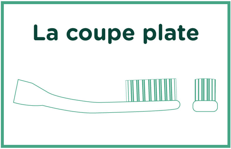 Brosse à dents coupe-plate