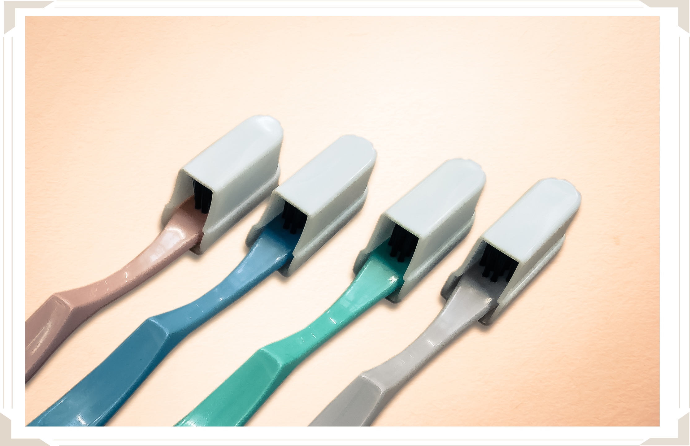 Têtes de protection brosses à dents