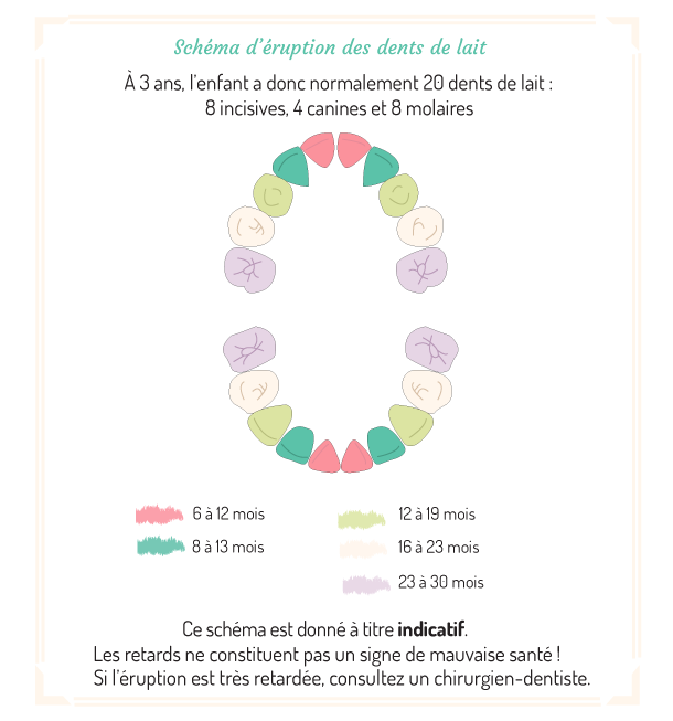 La poussée dentaire et la première dent de bébé