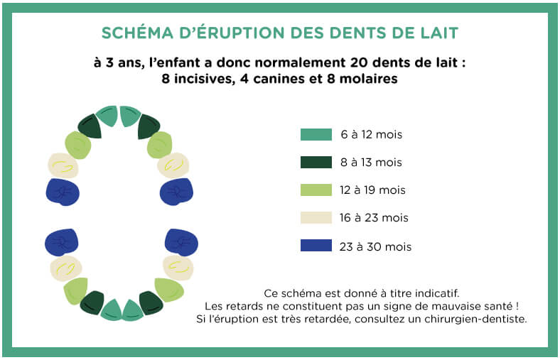 Age pousse dentaire