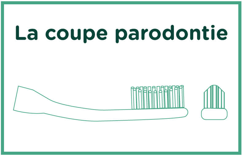 Brosse à dents paradontie