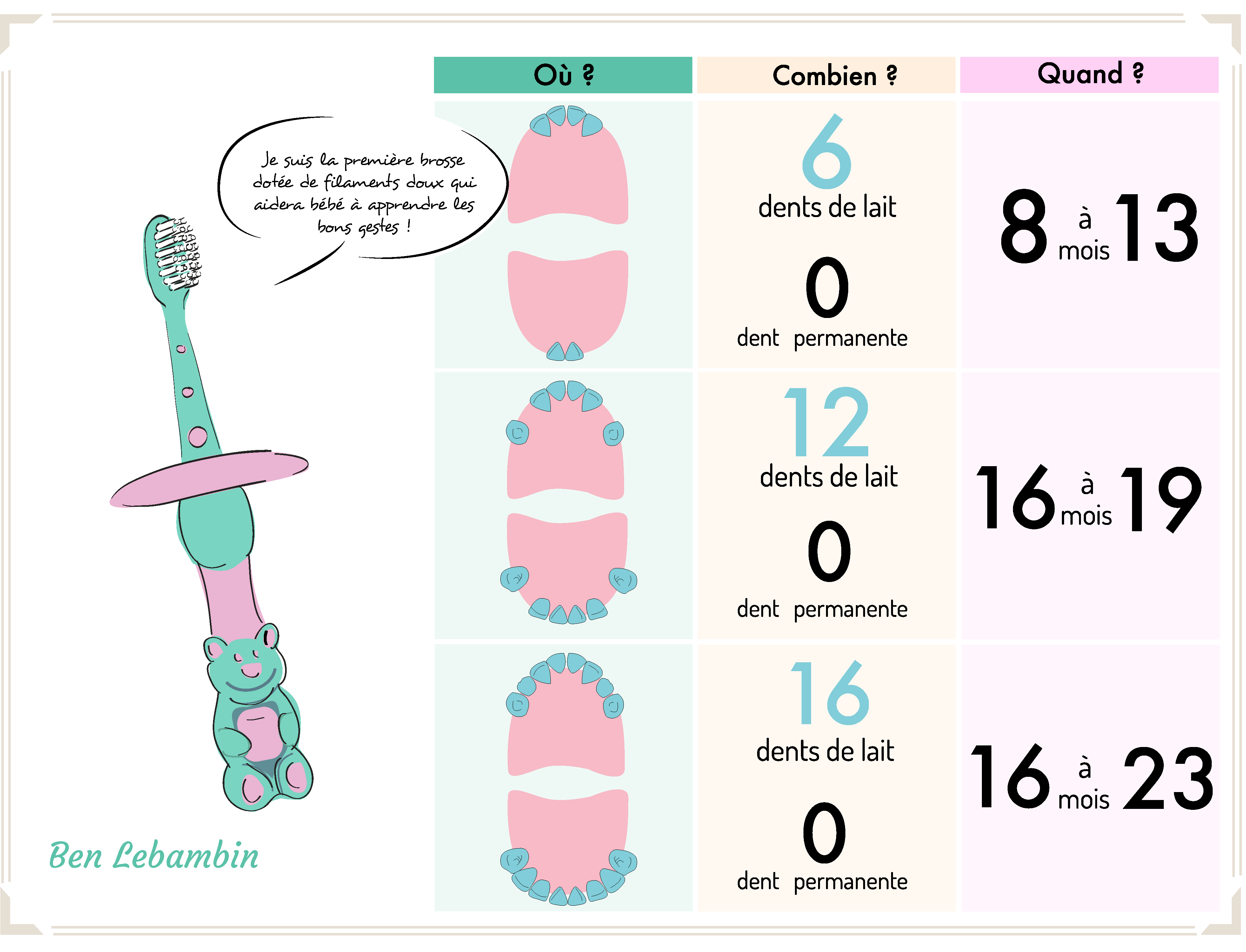 Tableau évolution dents enfants