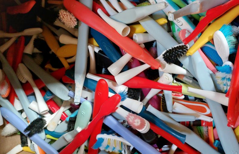 Moins de brosses à dents dans la nature