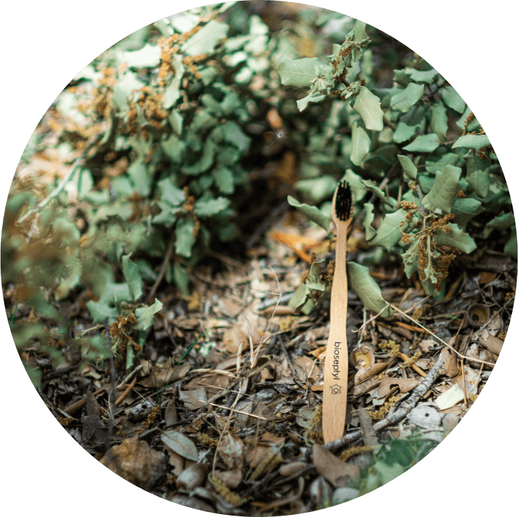 Brosse à dents en bois